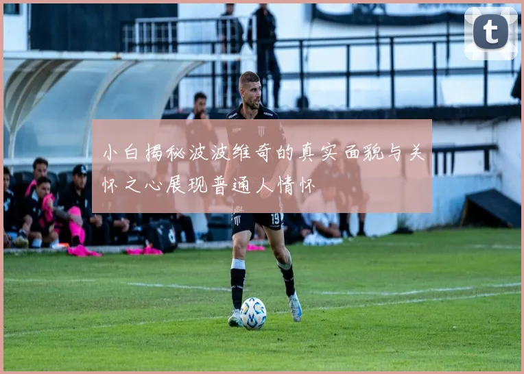 小白揭秘波波维奇的真实面貌与关怀之心展现普通人情怀