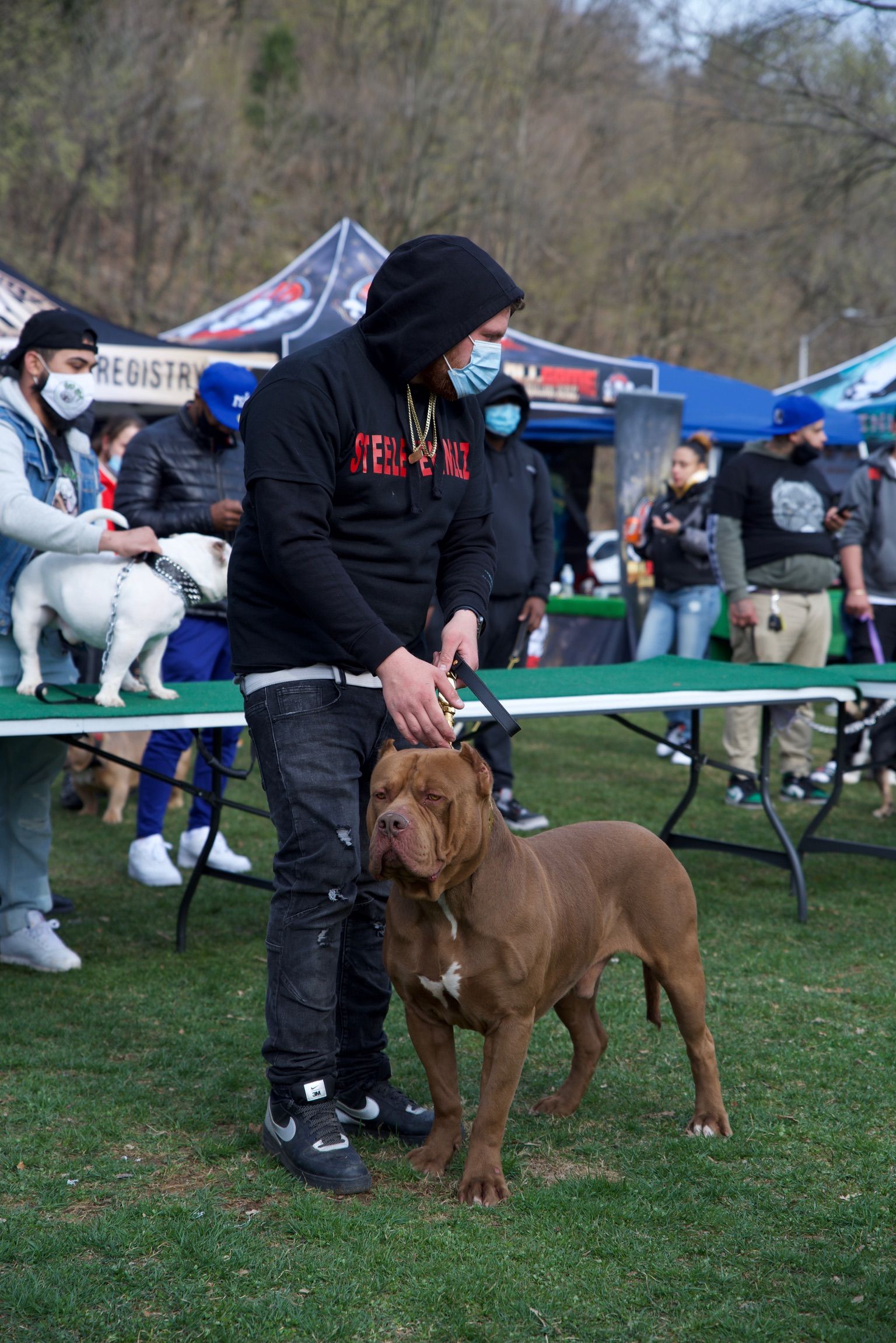 First Dog Show